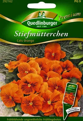 Produktbild von Stiefmütterchen, Cats orange