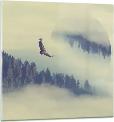 Produktbild von Bilder auf glas - Vogel Natur Wald - 50x50cm - Glasbilder - Wandbilder - Kunstdruck - zum Aufhängen bereit - Wanddekoration aus Glas - Glas Bilder - Wandbild auf Glas - Einteilig - GAC50x50-3853