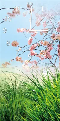Produktbild von Wallario Design Wanduhr Kirschblütenzweige und grüne Wiese- Frühling aus Echtglas, Größe 30 x 60 cm