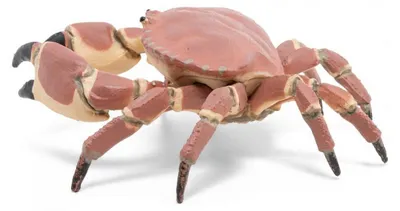 Immagine prodotto di Papo 56047 - figurina granchio