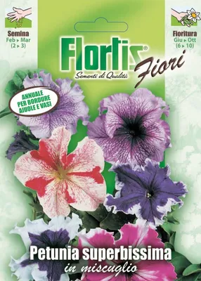 Produktbild von Hängepetunie Mischung | Hängepetuniensamen von Flortis