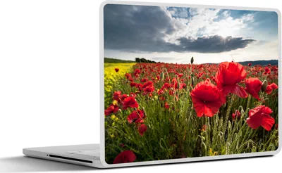 Produktbild von MuchoWow® Laptop Aufkleber Sticker Cover Mohnblumen vor einem dramatischen, stürmischen Himmel 30x21 cm - Sticker für Laptop - Selbstklebend