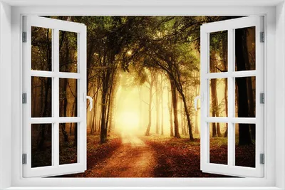 Produktbild von Wallario Poster mit Fenster-Illusion: Sonnenuntergang auf dem Waldweg, Größe: 100 x 150 cm