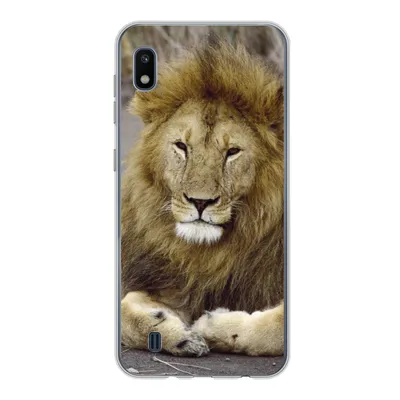 Produktbild von MuchoWow® Handyhülle Schutzhülle Hülle für Samsung Galaxy A10 Löwe - Afrika - Tier Silikon Softcase Handy Hülle - Schutzhülle