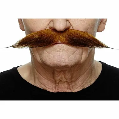 Image de Moustache My Other Me Accessoires pour déguisement