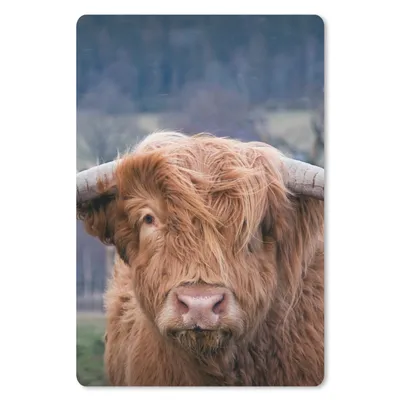 Produktbild von MuchoWow® Mauspad Mousepad Schottischer Highlander - Hörner - Berg 18x27 cm - Mousepads - Maus Mat - Pad - Mausunterlage
