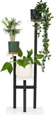 A multi-tiered plant stand with three potted plants.