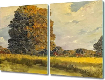 Produktbild von Coloray Schneidebrett Herdabdeckplatte 2x40x52 cm Kochplattenabdeckung Hackbrett Küchenbrett - Wald Natur Himmel