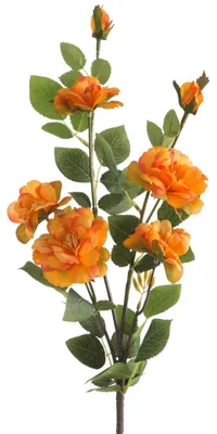 Produktbild von Künstliche Rose, 72 cm, orange, Set mit 6 Stück