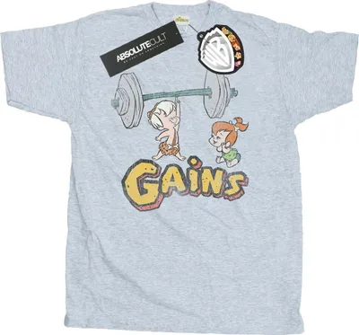 Produktbild von The Flintstones - "Gains" T-Shirt für Herren BI25049 (L) (Grau)