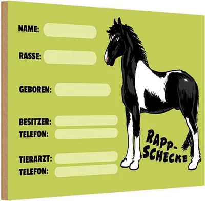Produktbild von vianmo Holzschild 20x30 cm Pferd Rappschecke Name Besitzer Rasse Tier Haustier