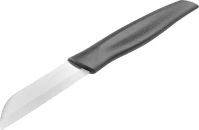 Produktbild von Fackelmann Gemüsemesser Nirosta 17 cm