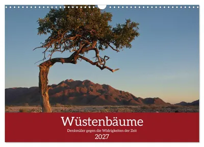 Produktbild von Wüstenbäume (Wandkalender 2027 DIN A3 quer), CALVENDO Monatskalender
