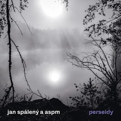 Immagine prodotto di Perseidi - Album di Jan Spálený