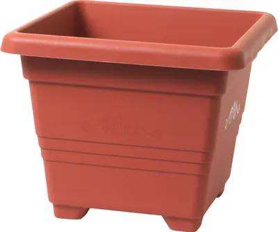 Zdjęcie produktu dla Opakowanie Plastia kwadrat Begonia - terakota 20x20 cm