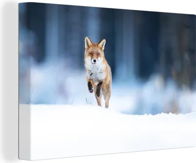 Obrázek produktu pro OneMillionCanvasses® - Výtisky na plátně - 140x90 cm, Liška - Sníh - Zima, nástěnné umělecké výzdoby výtisků na zeď