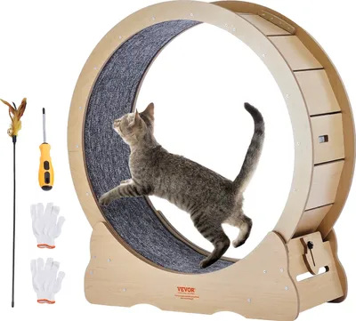 Immagine prodotto di Tapis roulant per gatti VEVOR, grande tapis roulant per gatti da interno, tapis roulant per gatti da 91 cm con tappeto rimovibile e canna da pesca per gatti per correre/camminare/allenarsi, adatto alla maggior parte dei gatti fino a 6 kg