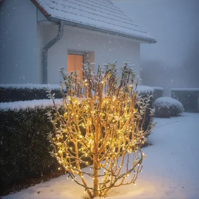Produktbild von esotec Solar Lichterkette Outdoor, 60 warmweiße LEDs, Weihnachtsdeko 103504