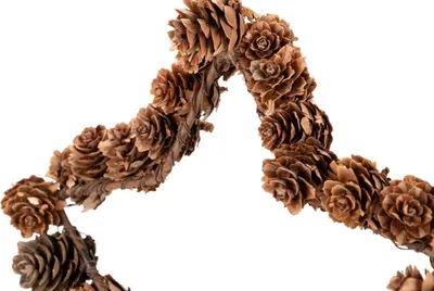 Produktbild von Deko-Stern zum aufhängen aus Tannenzapfen in Natur, Größe wählbar | Lärchenzapfen | Zapfenstern | Anhänger Weihnachtsstern | Wanddeko | Fensterdekoration | Weihnachtsdekoration | Dekozapfen, Größe:Ø 30 cm