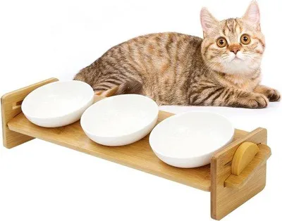 Produktbild von Keramische Doppelfutterquelle mit Antirutsch-Bambusständer und Silikon, für Katzen und Hunde
