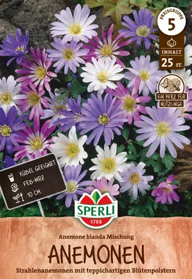 Produktbild von SPERLI Balkan-Windröschen Anemone blanda 25 Zwiebeln