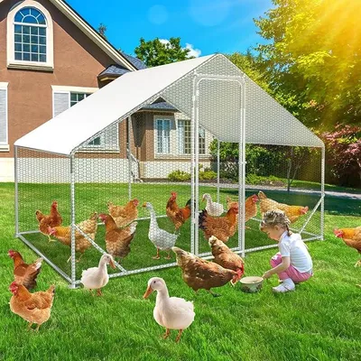 Imagen del producto de Gallinero con espacio exterior, de 3x2x2 metros, con cerradura de seguridad y cubierta de plástico PE impermeable. Fácil de limpiar. Ideal para gallinas, aves, pequeños animales y plantas