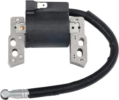Immagine prodotto di Sostituzione della bobina elettronica per Briggs & Stratton - 695711
