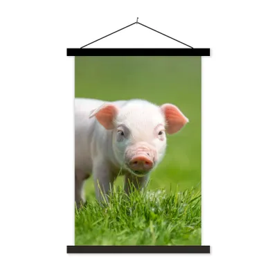 Produktbild von MuchoWow® Textilposter Ferkel - Kaninchen - Tiere 40x60 cm mit schwarzem Rahmen - Wanddekorationen