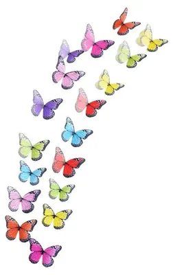 Image de Autocollants muraux, motif papillon en 3D, décoration intérieure moderne, lot de 2