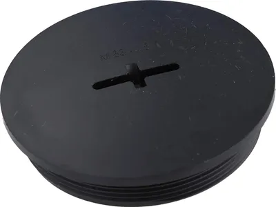 Image de Bouchon aveugle WISKA M63x1,5 KBR-M63 rond avec empreinte cruciforme, joint torique inclus, polyamide (PA), longueur de filetage 12,0 mm - 1 pièce