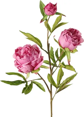 Produktbild von Topart Kunstliche Blume Pfingstrose Spring Dream - rosa - 73 cm
