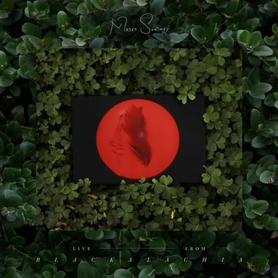 Produktbild von Moses Sumney: Live From Blackalachia (ltd. Clear Green Vinyl) - 375 Media - (LP / L)