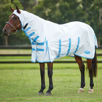 Produktbild von Weatherbeeta Comfitec Sweet Itch Shield Combo Ekzemerdecke - white/blue