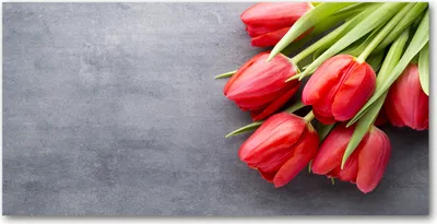 Produktbild von Tulup Glas-Bild -140x70- Wandkunst Dekorative Wand für Küche & Wohnzimmer - Blumen & Pflanzen - Rote Tulpen - Rot