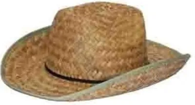Immagine prodotto di articolo fisso-müll COWBOYHUT STROH