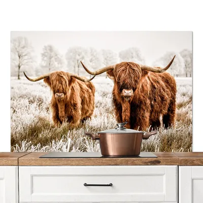 Produktbild von KitchenYeah®  Spritzschutz Küche - Küchenrückwand - Wandschutz für Herd und Spüle - Schottisches Hochlandrind - Kuh - Tiere 120x80 - Alu-Dibond (Alternative zum Spritzschutz aus Glas) - Hitzebeständig