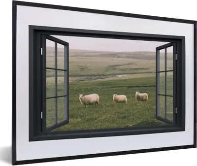 Produktbild von MuchoWow® MuchoWow® Gerahmtes Poster Durchblick - Gras - Schafe 60x40 cm - Poster mit zchwarzem Bilderrahmen - Schlafzimmer - Plakat in Rahmen - Drucken