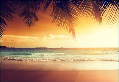 Produktbild von Wallario Fototapete Vliestapete, seidenmatte Oberfläche, einfache Verarbeitung, Größe 200 x 140 cm, Motiv Sonnenuntergang am Strand in der Karibik