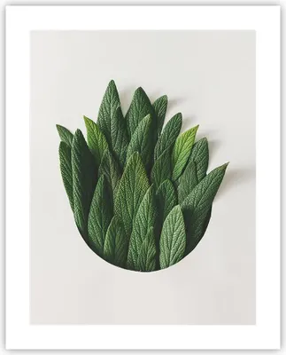 Produktbild von Poster - Poster ohne Rahmen - Salbei Medizin Blätter - 40x50 cm - Wand Bild - Wanddeko - Wandbilder - Kunstposter - Wandposter - Bilder - Kunstdruck - Wanddekoration - Wandbild - P2XPA40x50-4859