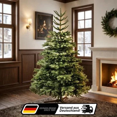 Produktbild von Lindenstein Künstlicher Weihnachtsbaum 200 cm – Premium Tannenbaum mit naturgetreuen PE-Spitzen und dichtem Nadelkleid
