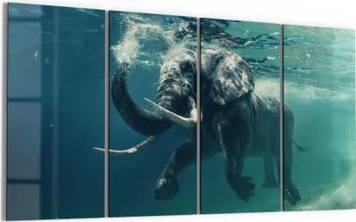 Produktbild von DEQORI Glasbild Echtglas 4x30x60 cm 'Schwimmender Elefant' Wandbilder XXL groß