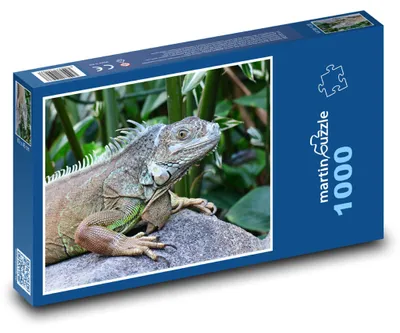 Zdjęcie produktu dla Puzzle 1000 Legwan w tropikalnej dżungli - martinpuzzle