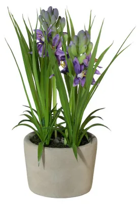 Produktbild von Kunstpflanze HYAZINTHEN im Zementtopf. Ca 21cm. Lilie getopft. LILA