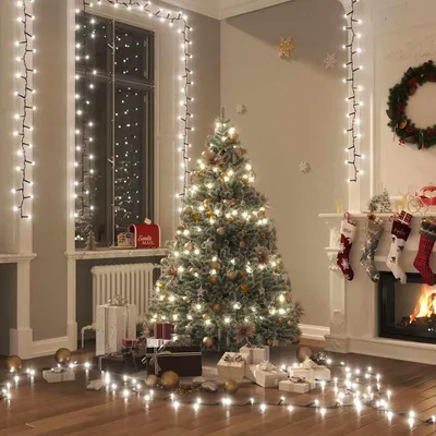 Immagine prodotto di vidaXL Luci LED da fata con 2000 LED bianco freddo 45 m PVC