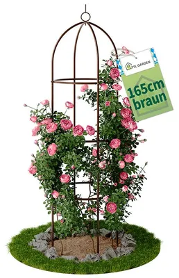 Produktbild von TTL GARDEN Rankhilfe Obelisk L 165x40cm braun – Rankgitter für Kletterpflanzen