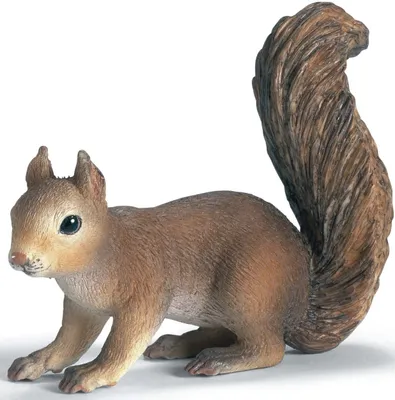 Produktbild von schleich Eichhörnchen, Sitzend, 3 Jahr(e), Braun, Kunststoff