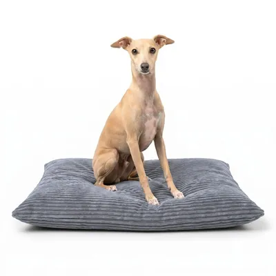 Produktbild von 4L Textil MOLLY Hundekissen Cord Grau waschbares Hundebett XL Cord Hundekissen XXL Hundekissen waschbar mit Bezug 120x100 cm, Grau