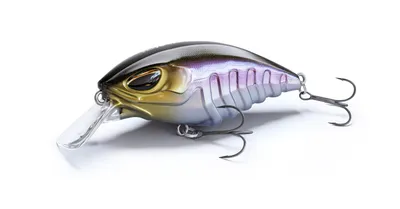 Produktbild von Nays CRNK 50 SR - Crankbait, Farbe:S-05