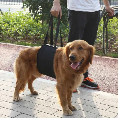Produktbild von Schwarzhundlift und Unterstützung der Rehabilitationsgurt mit Griff für Eckzähne (L)