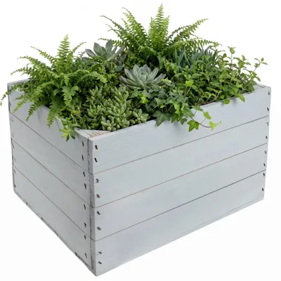 Productafbeelding van Creative Deco houten decoratiekist, 40 x 30 x 23 cm